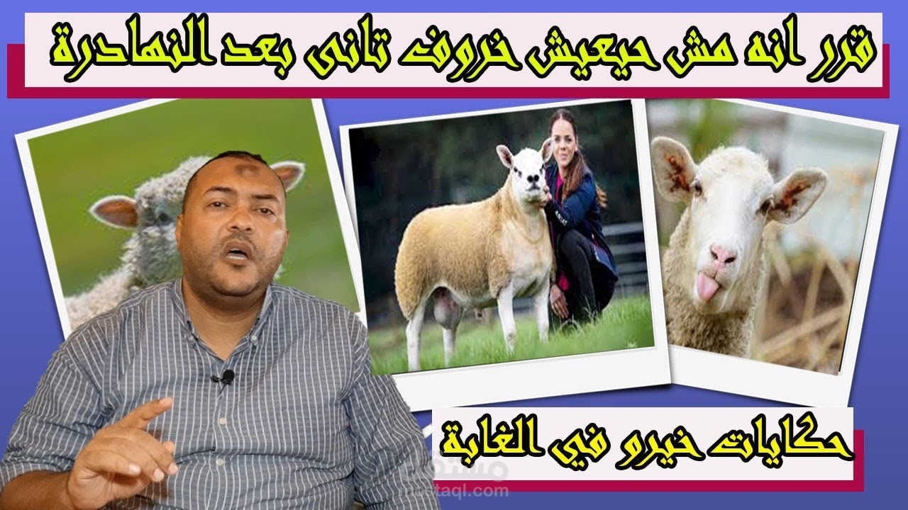حكايات خيرو فى الغابة مقابلة مع الخروف نوفو ال قرر انه مش حيعيش خروف ...