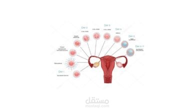 مقال حصري عن صحة المرأة يظهر في الصفحات الأولي