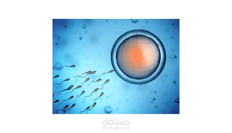 مقال صحي باللغة العربية عن صحة المرأة