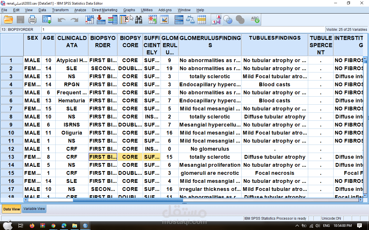 Spss project