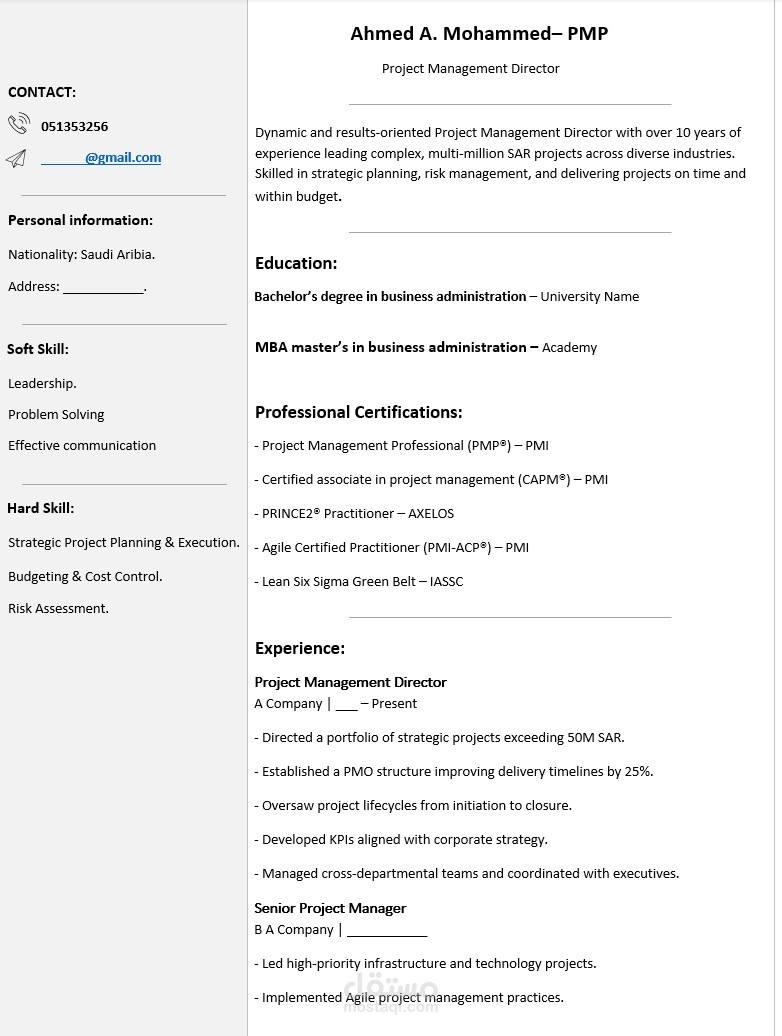 نموذج سيرة ذاتية