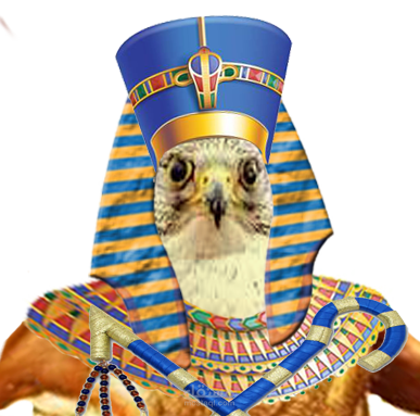 تصميم  الرموز غير القابلة للاستبدال nft