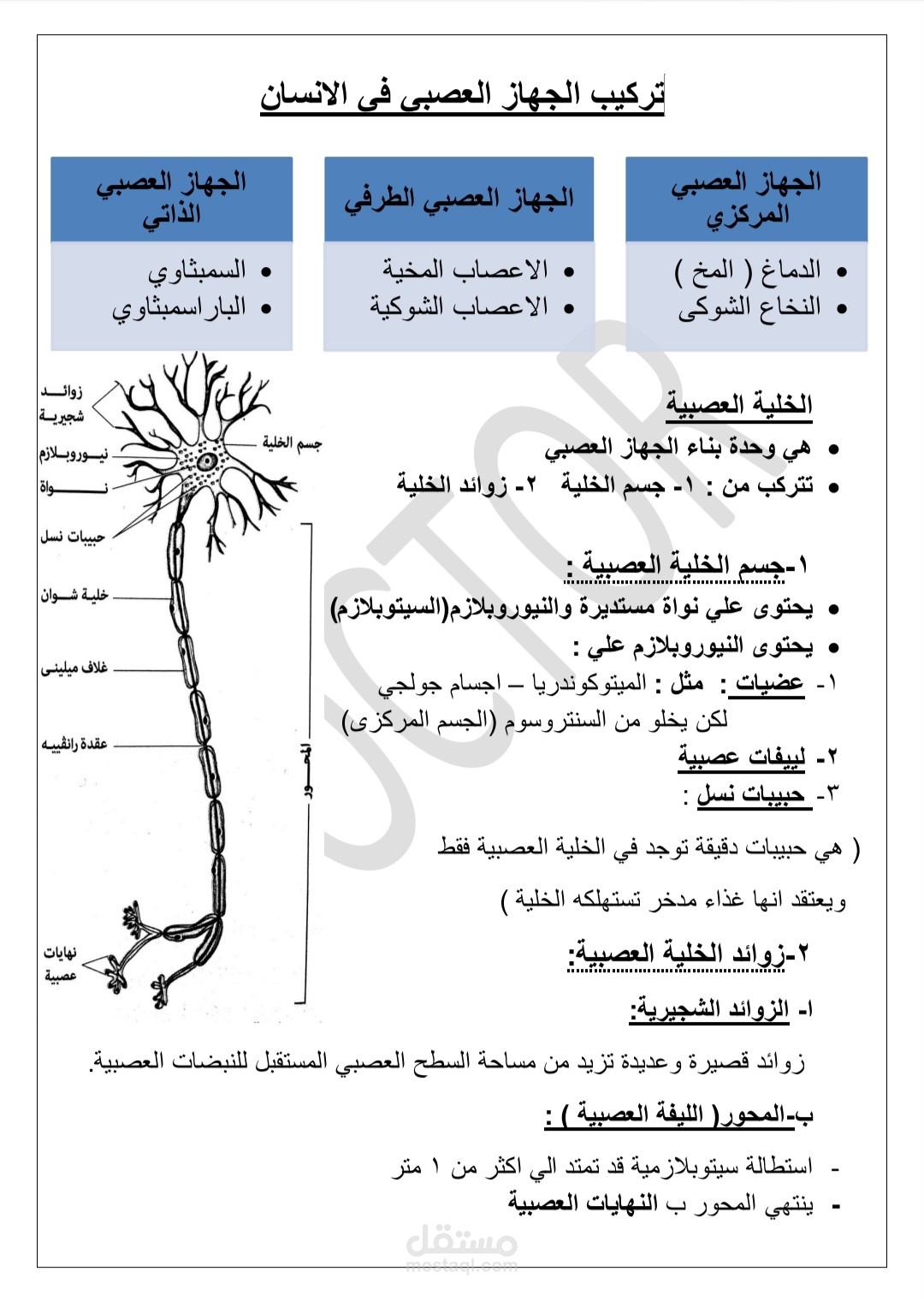 تلخيص وادخال بيانات