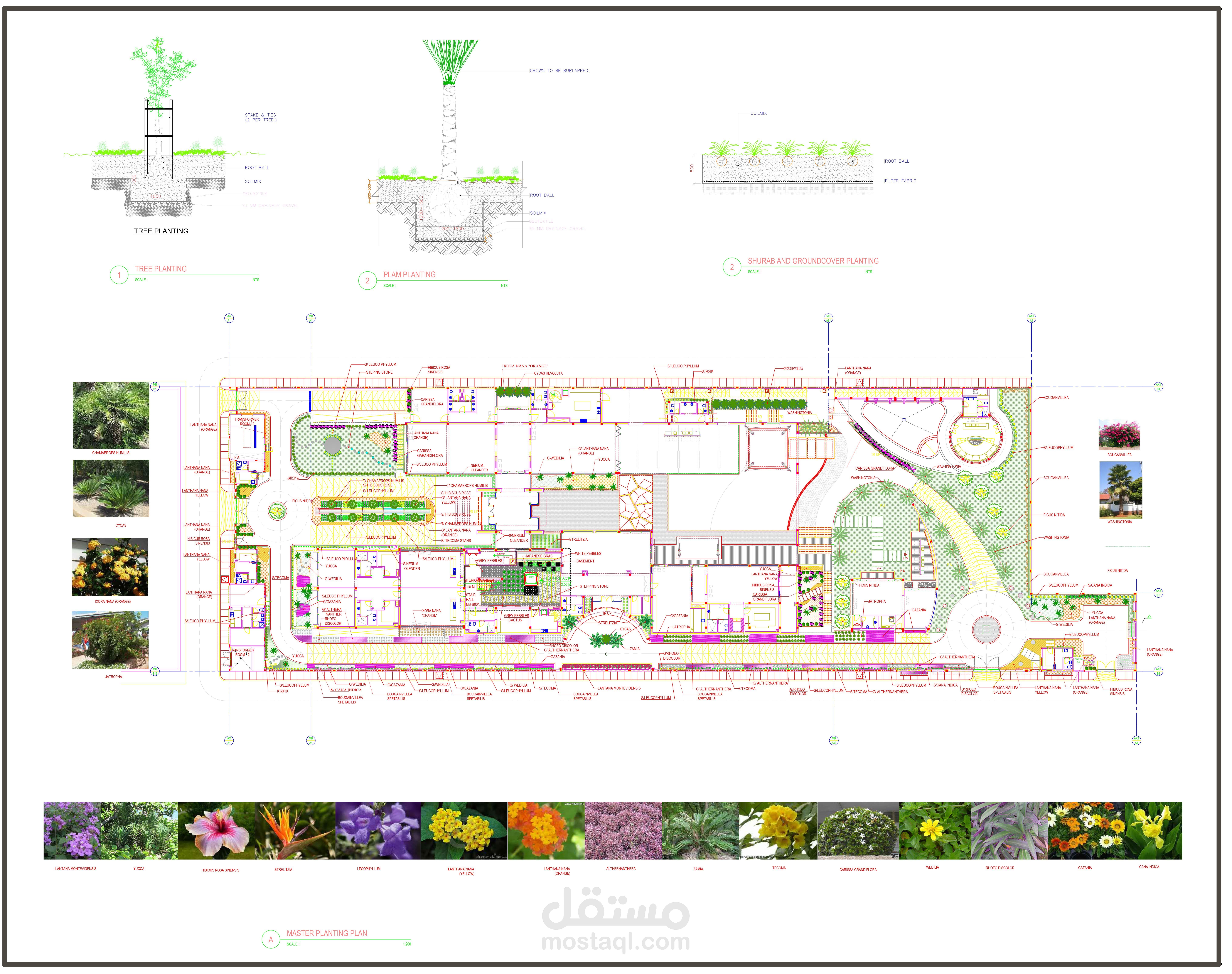 LANDSCAPE DESIGN FOR PALACE