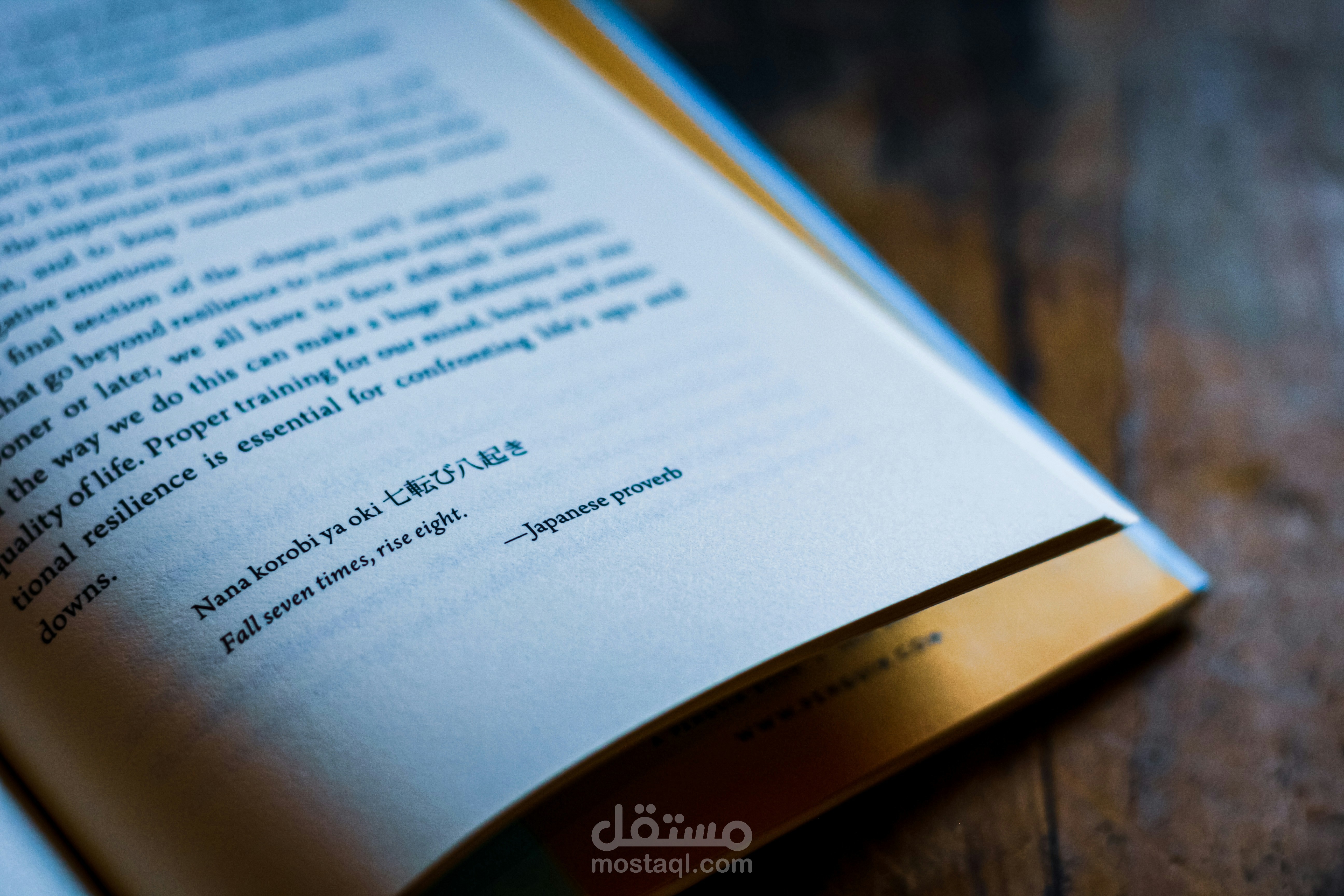 ترجمة احترافية من وإلى اللغة العربية والإنجليزية مع تدقيق لغوي شامل