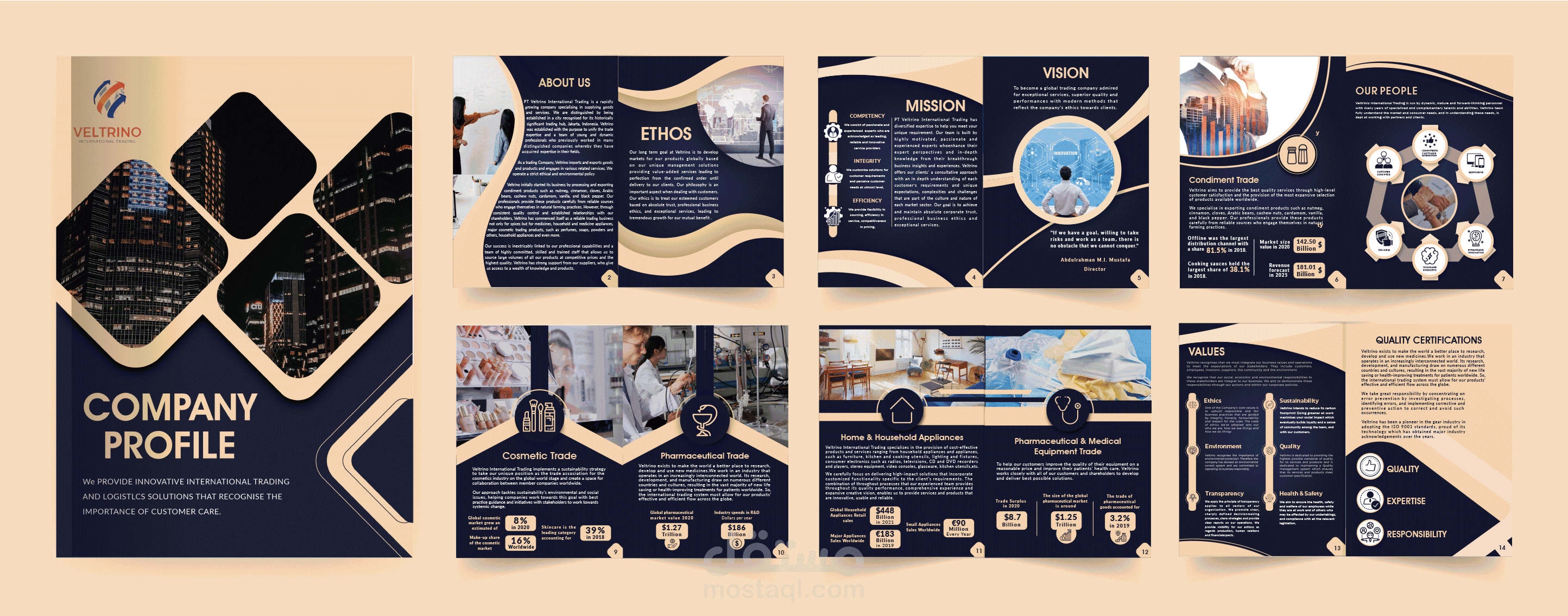 تصميم بروفيل شركة (Veltrino International )