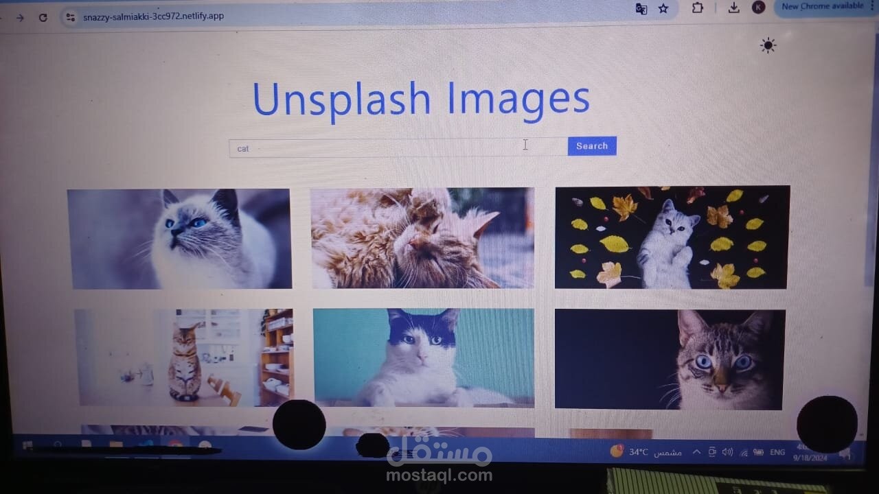 unsplash images