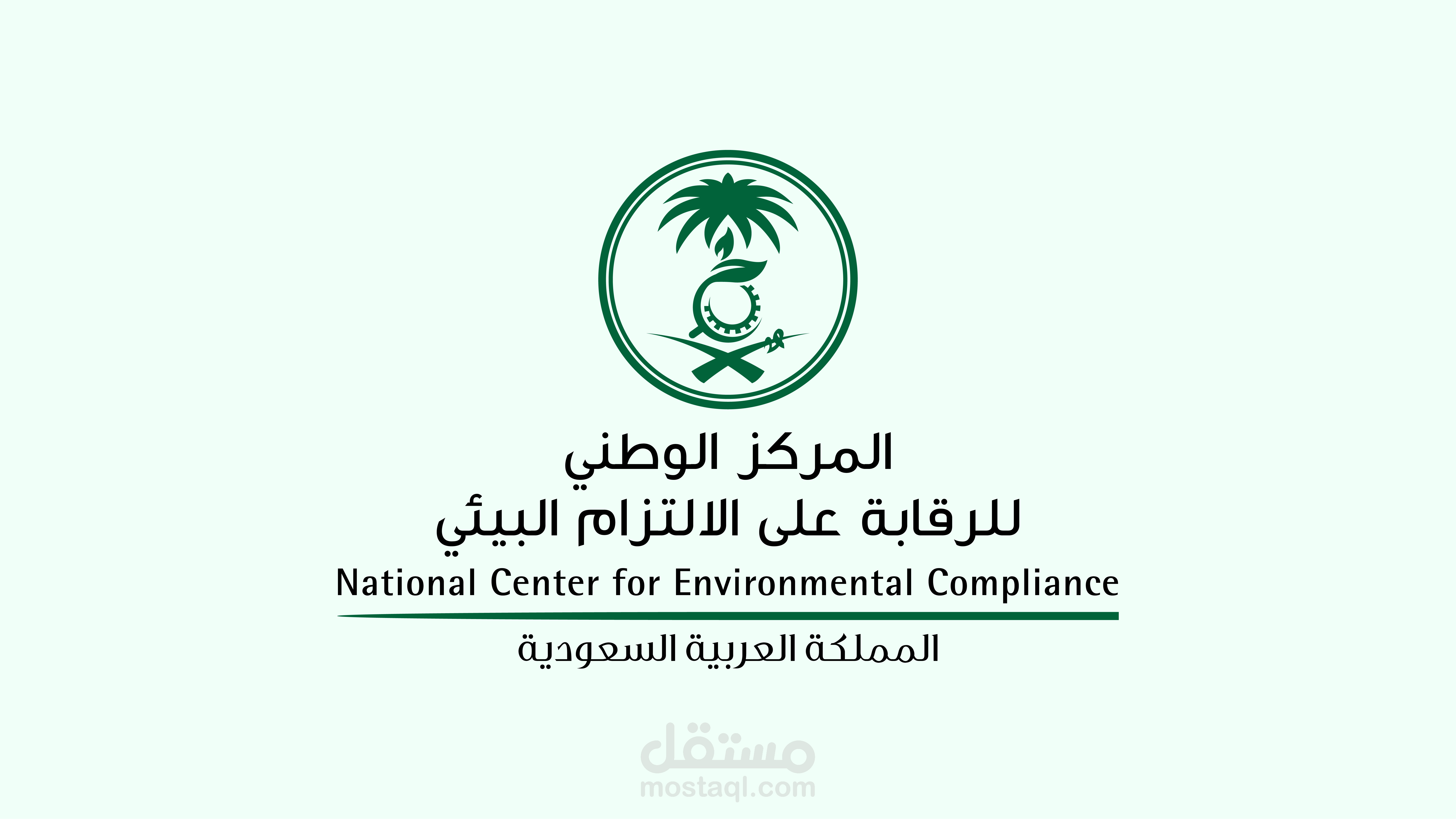 فيلم عن أسباب التلوث الضوئي لصالح المركز الوطني للمملكة العربية السعودية