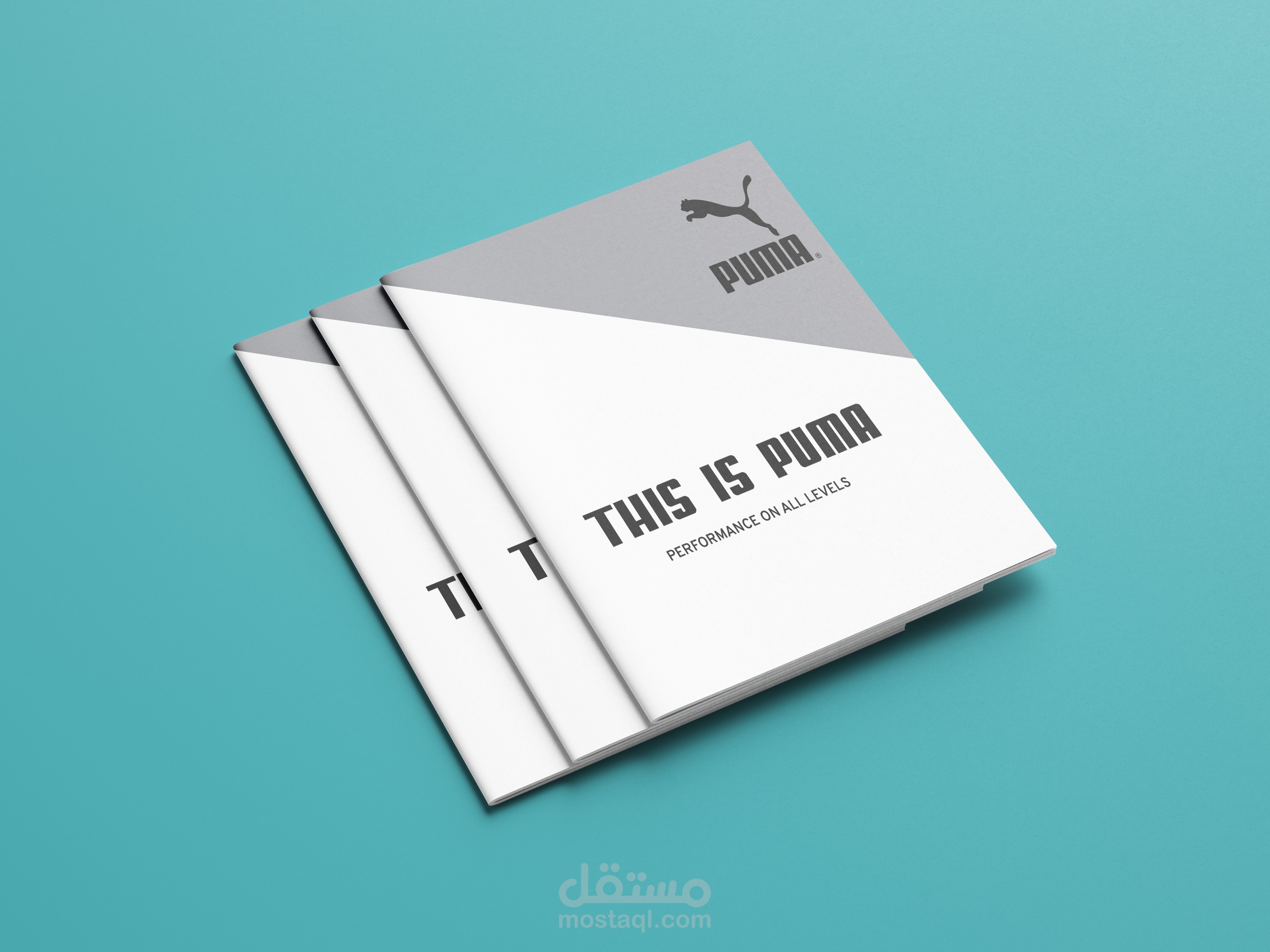 تصميم بروشور ابداعي مميز (مطوية ثلاثية الأوجه) Trifold Brochure