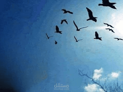إزالة اي شئ من الصور والخلفيات