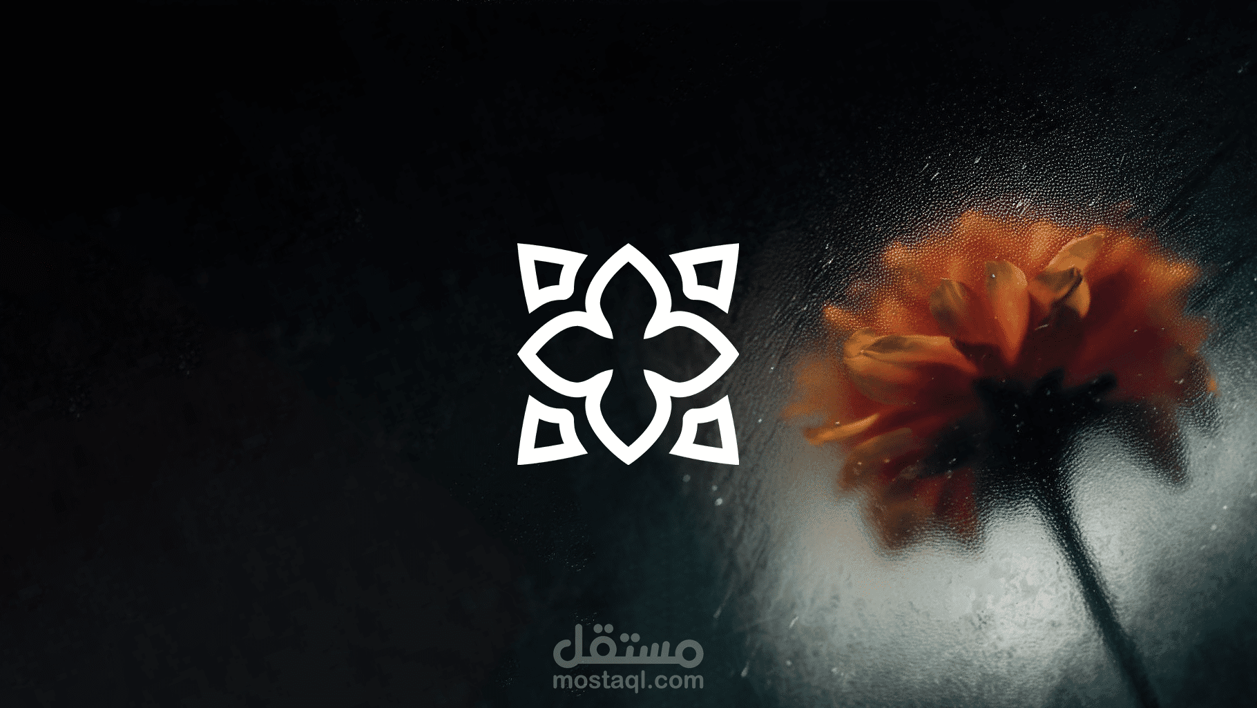 تصميم شعار + هوية 37 Botany