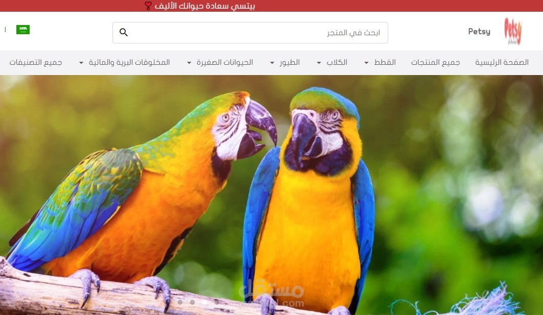 تسويق و حملات إعلانية