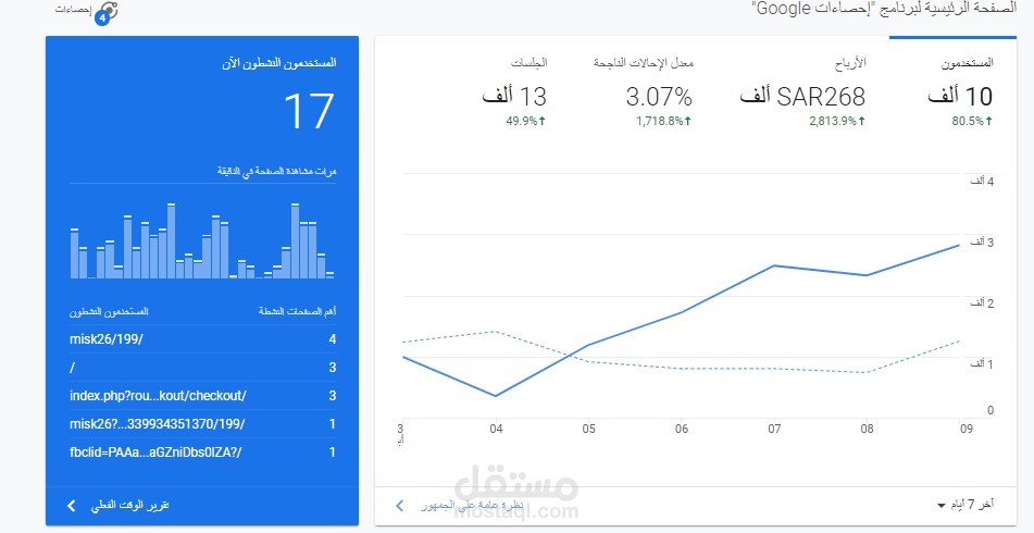 تحسين محركات البحث + حملات إعلانية ( seo + ads )