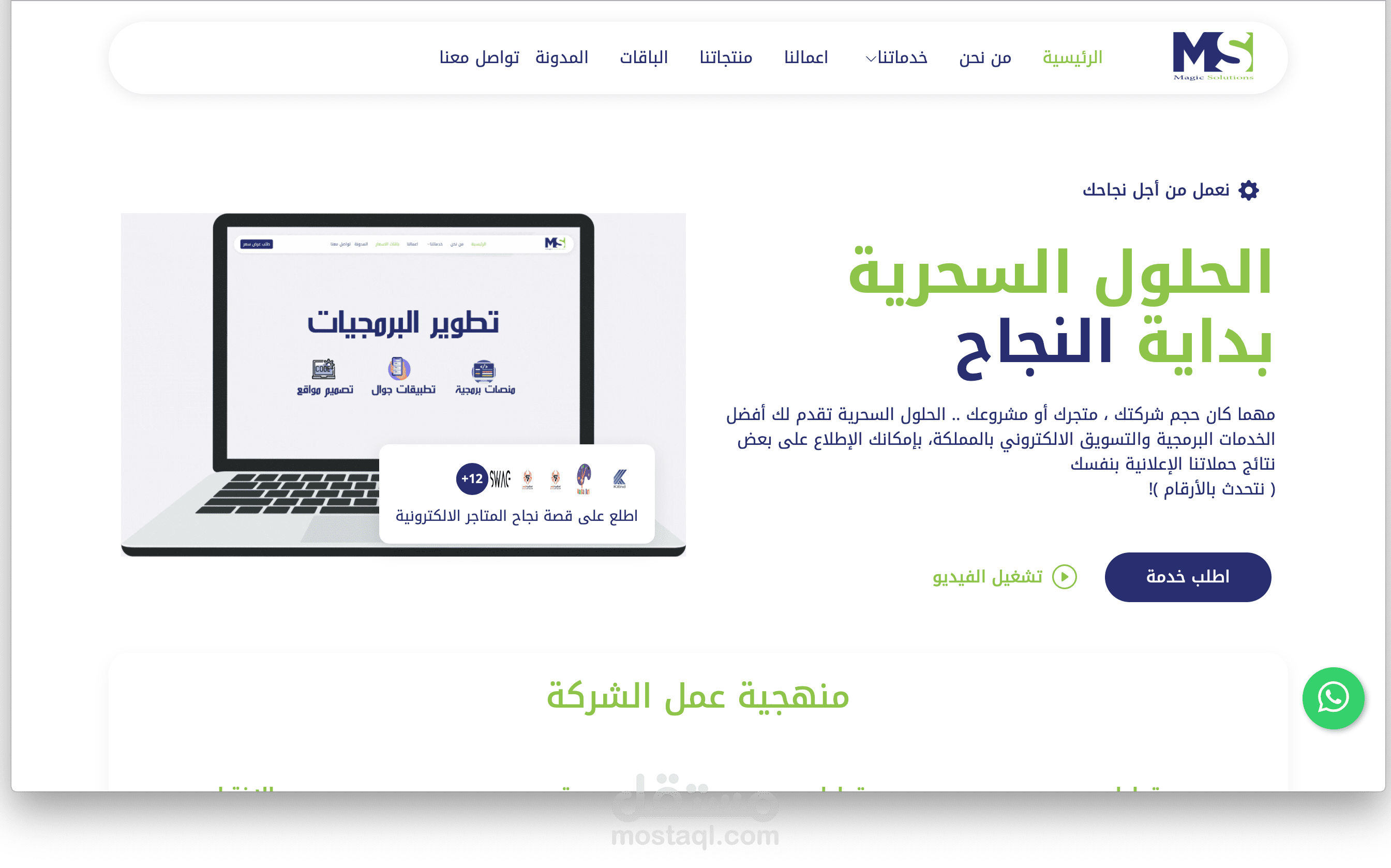 موقع ولوحة تحكم خاص لشركة برمجيات