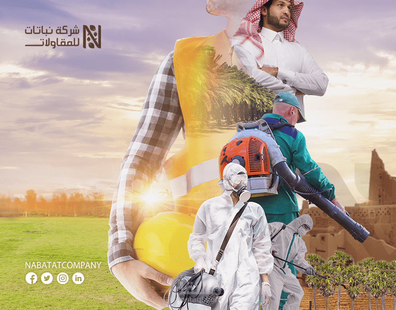 advertising campaign