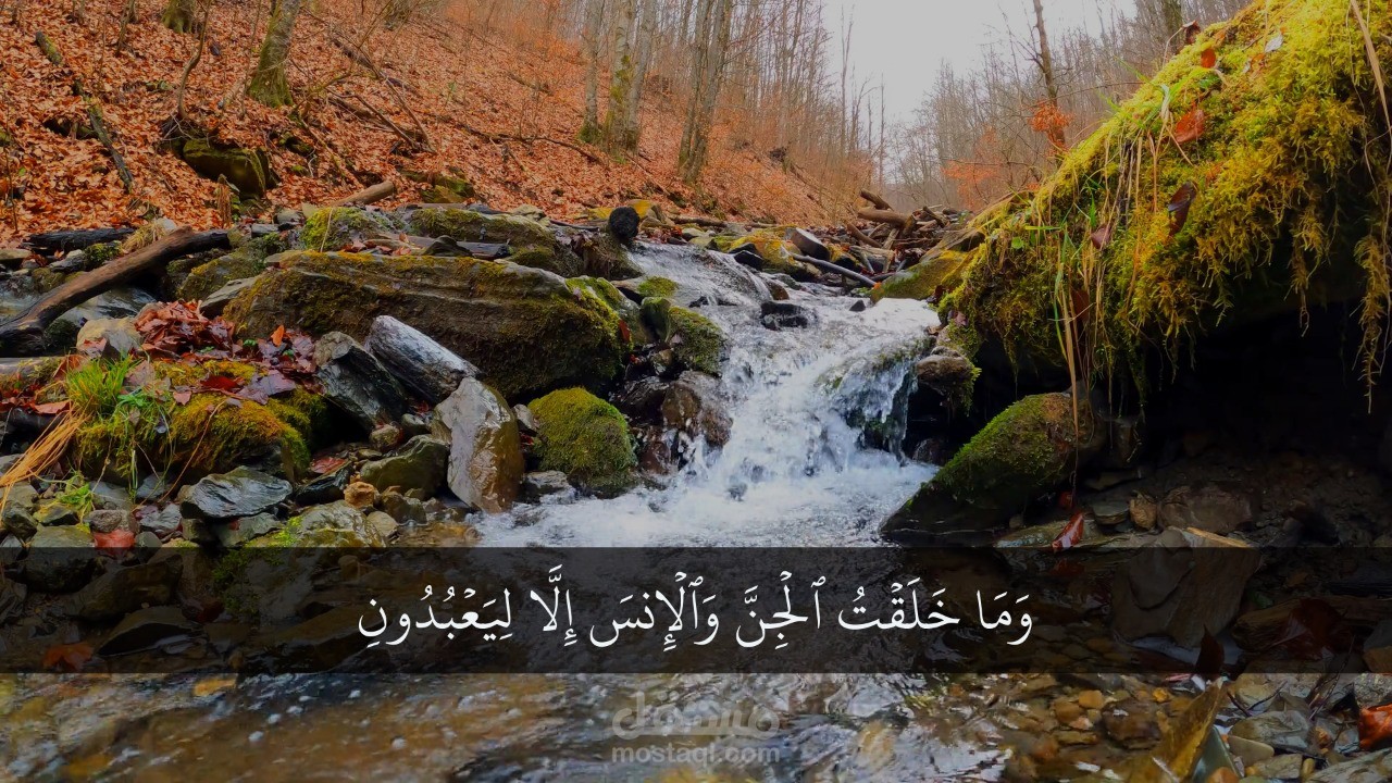 تصميم فيدوهات دعوية وتعليمية