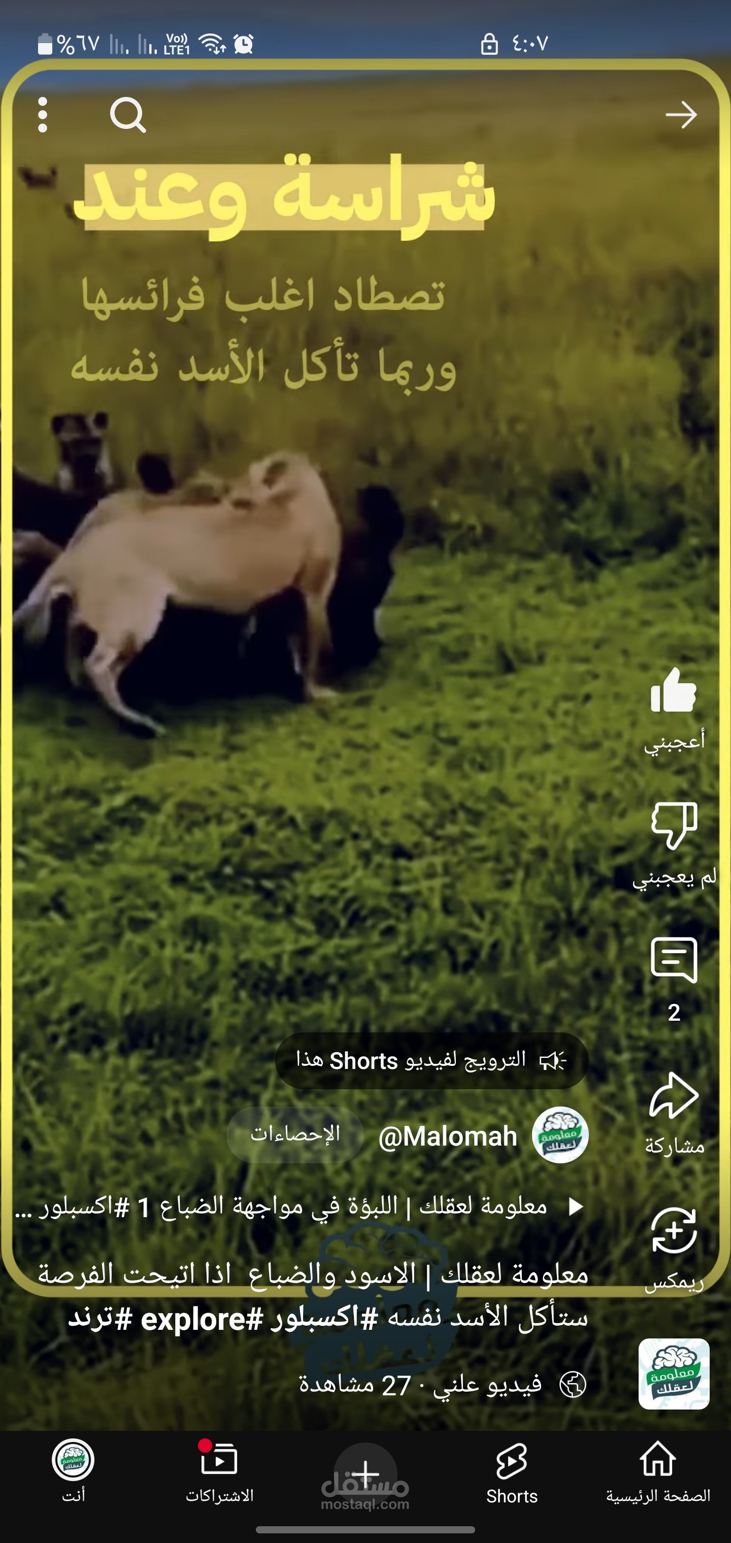 نموذج تجريبي لفيديو على يوتيوب .