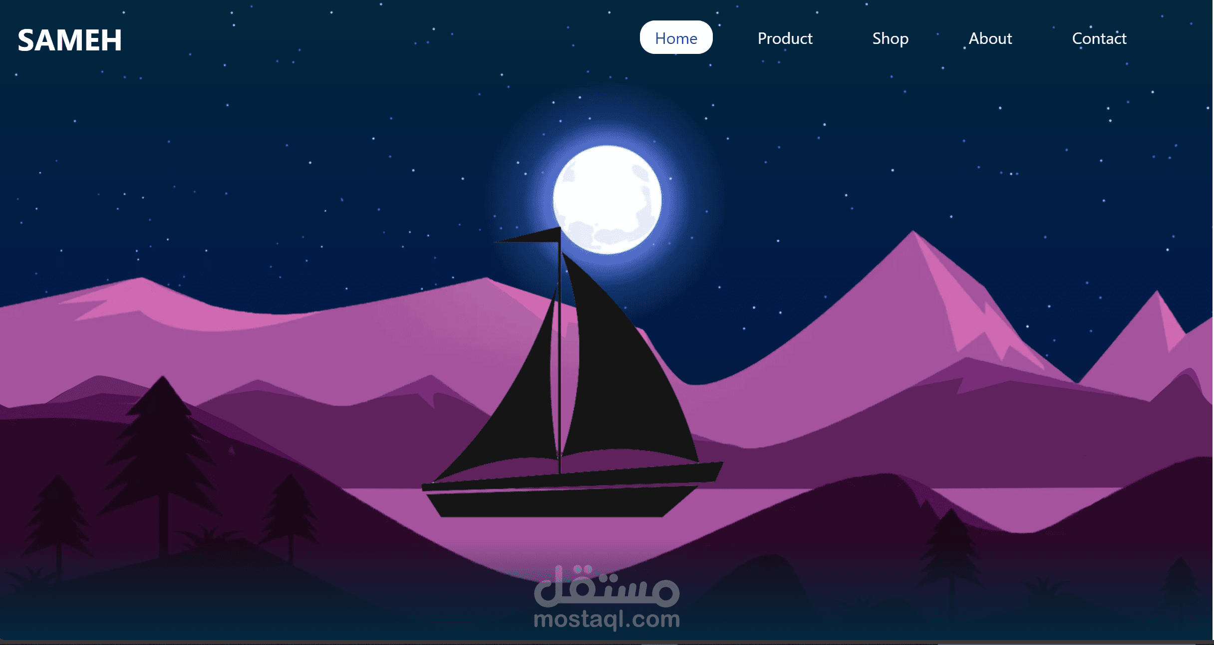 Project HTML CSS and Javascript