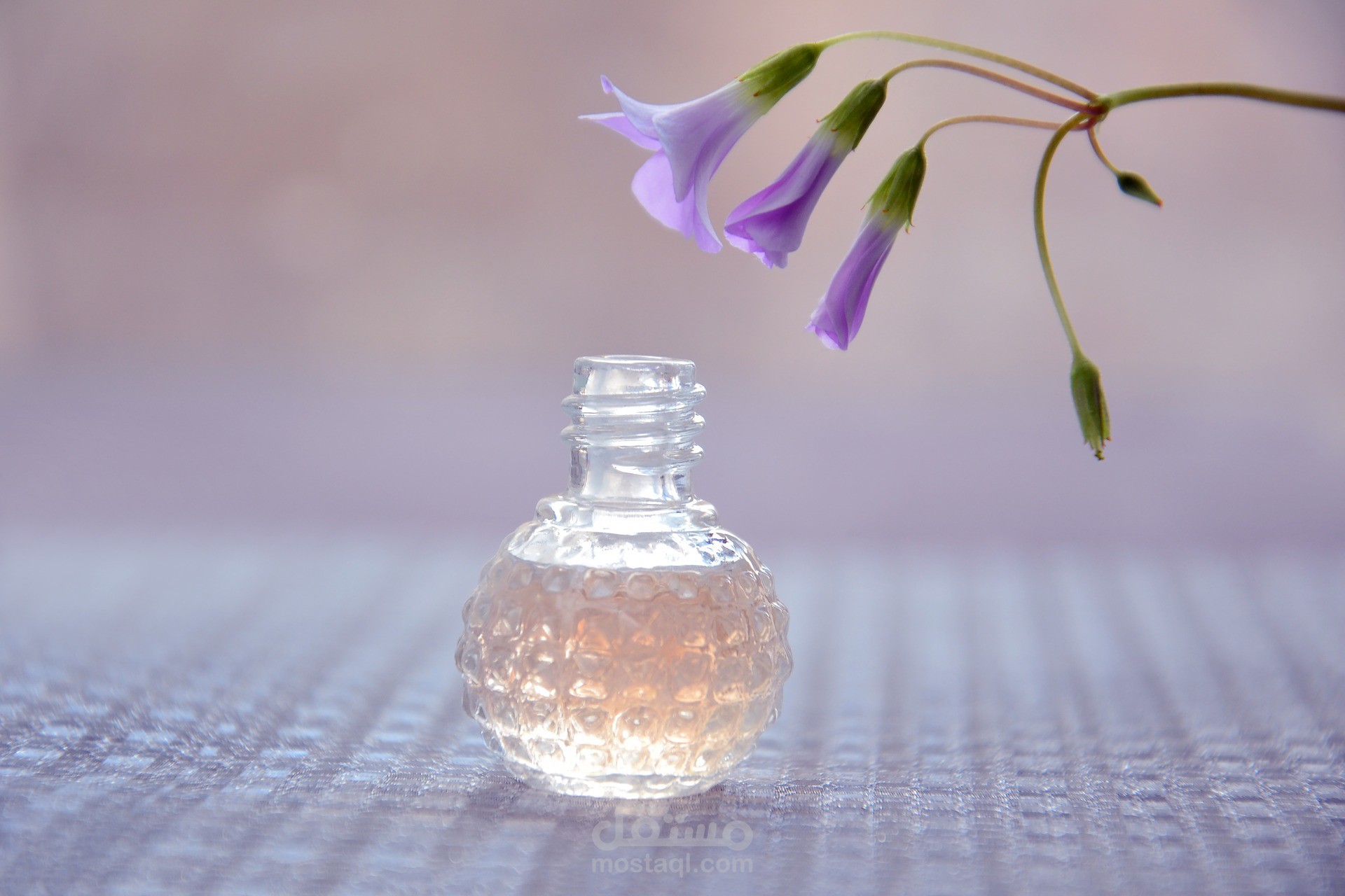 مونتاج اعلاني عن صناعه العطور