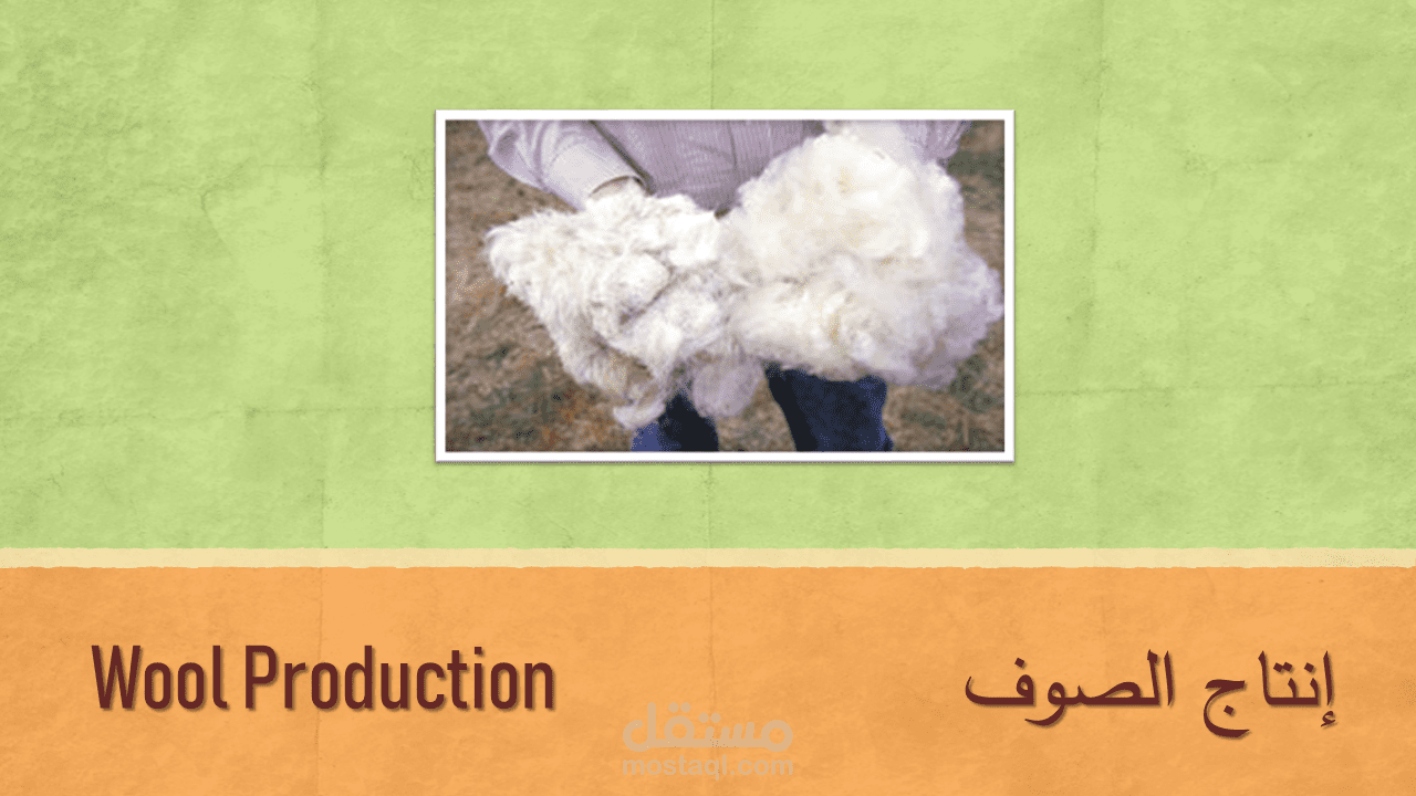 بحث جامعي بطريقة عرض تقديمي