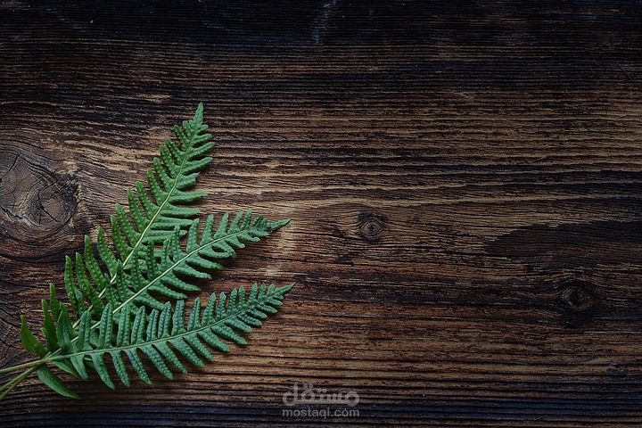 إزالة الكروما أو الخلفيه للفيديوهات والصور