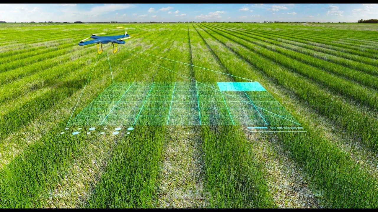 Farm Vision