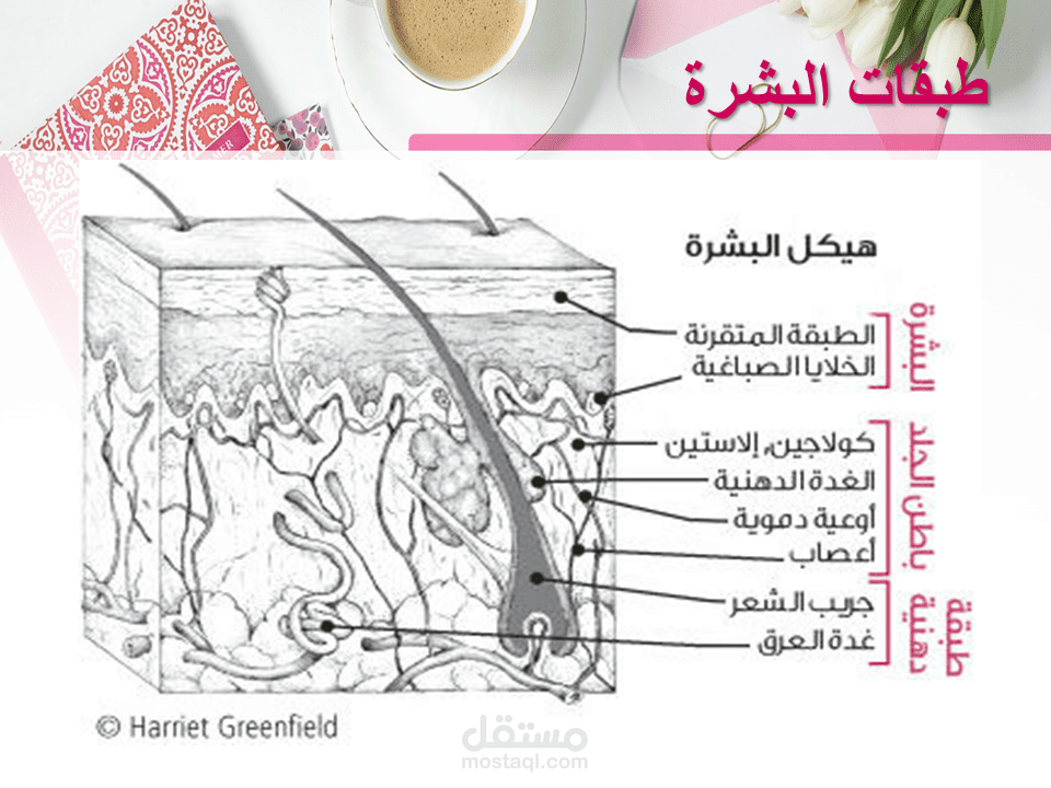 ملف بوربوينت