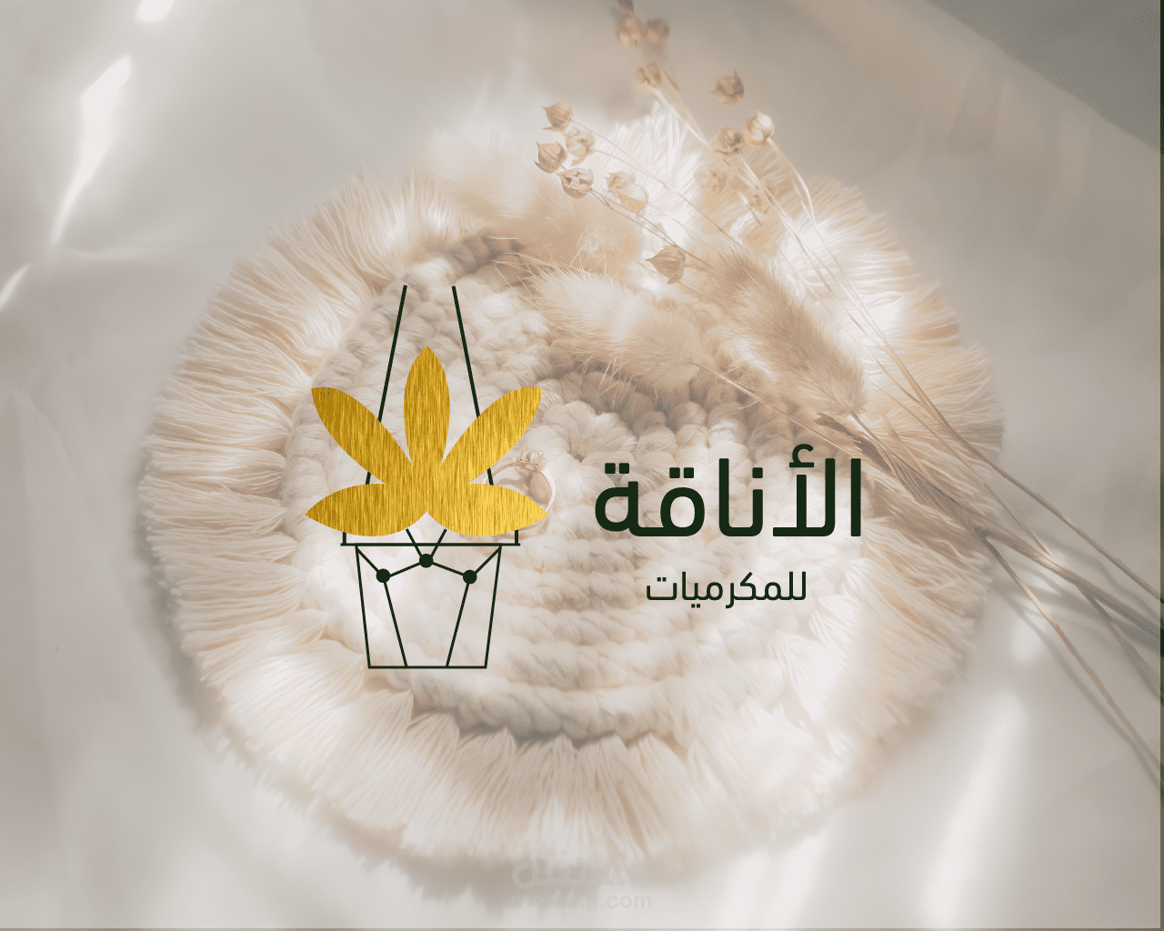 هوية بصرية