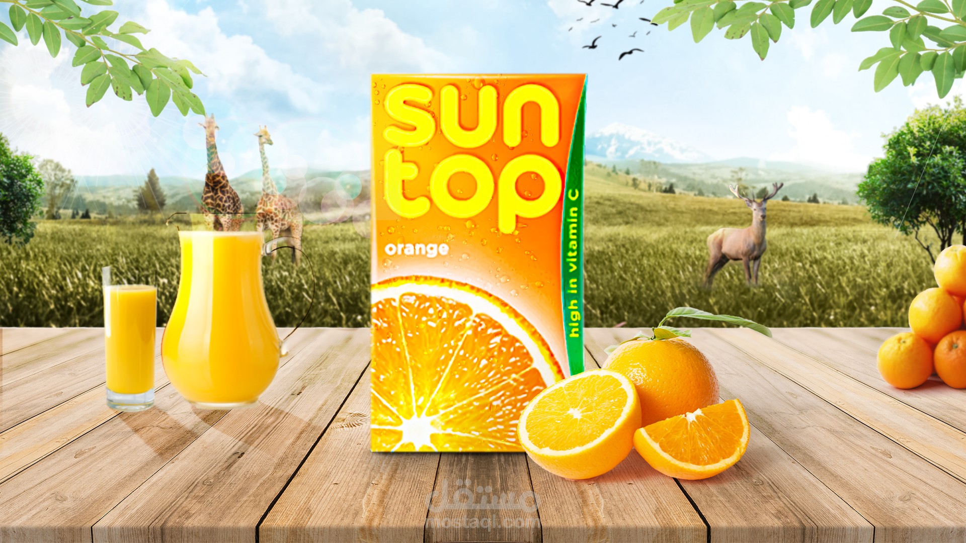 تصميم افتراضي لعصير sun top