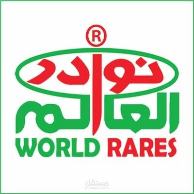 مدير التسويق الإلكتروني لشركة نوادر العالم