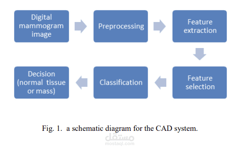 Computer Aided Diagnosis System for Classification of Masses in Digital Mammograms