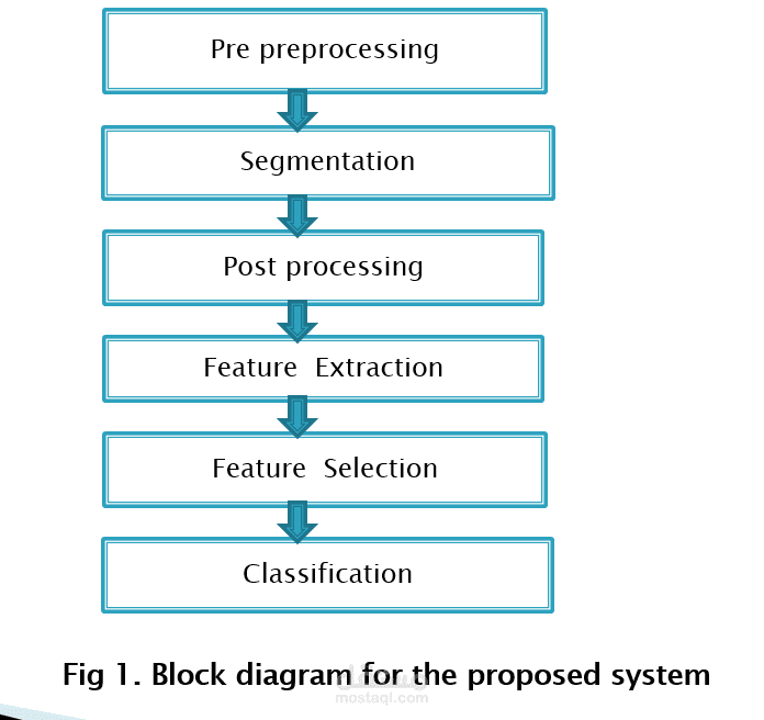 Computer-Aided Diagnosis System for Masses Classification (benign - malignant) in Digital Mammograms