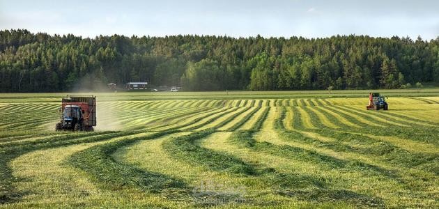 كتابة بحث عن اهمية الزراعة لزيادة الدخل القومي واستخدامات التكنولوجيا ووسائل الزراعة الحديثة في دولة قطر.