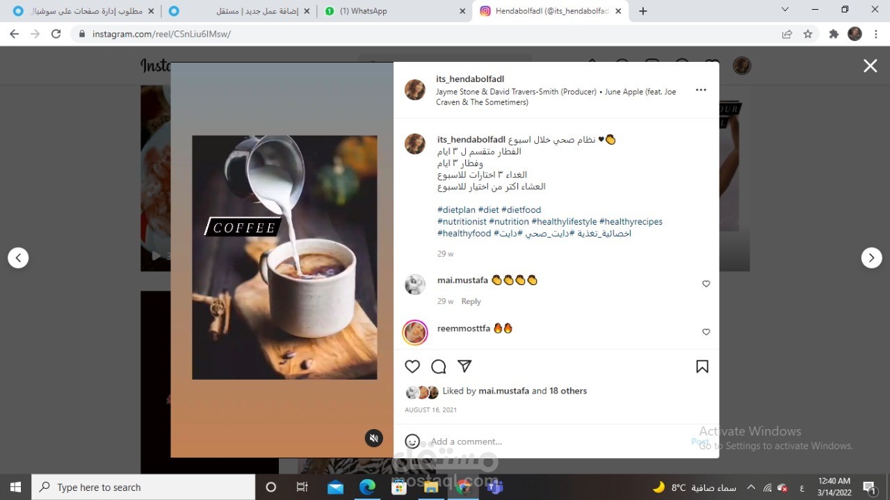 instgram reels انستجرام ريل
