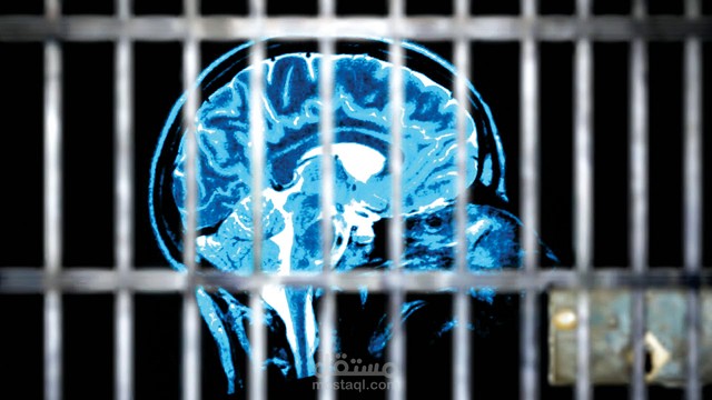 فكّر بطريقة المجرم -محتوى تدويني