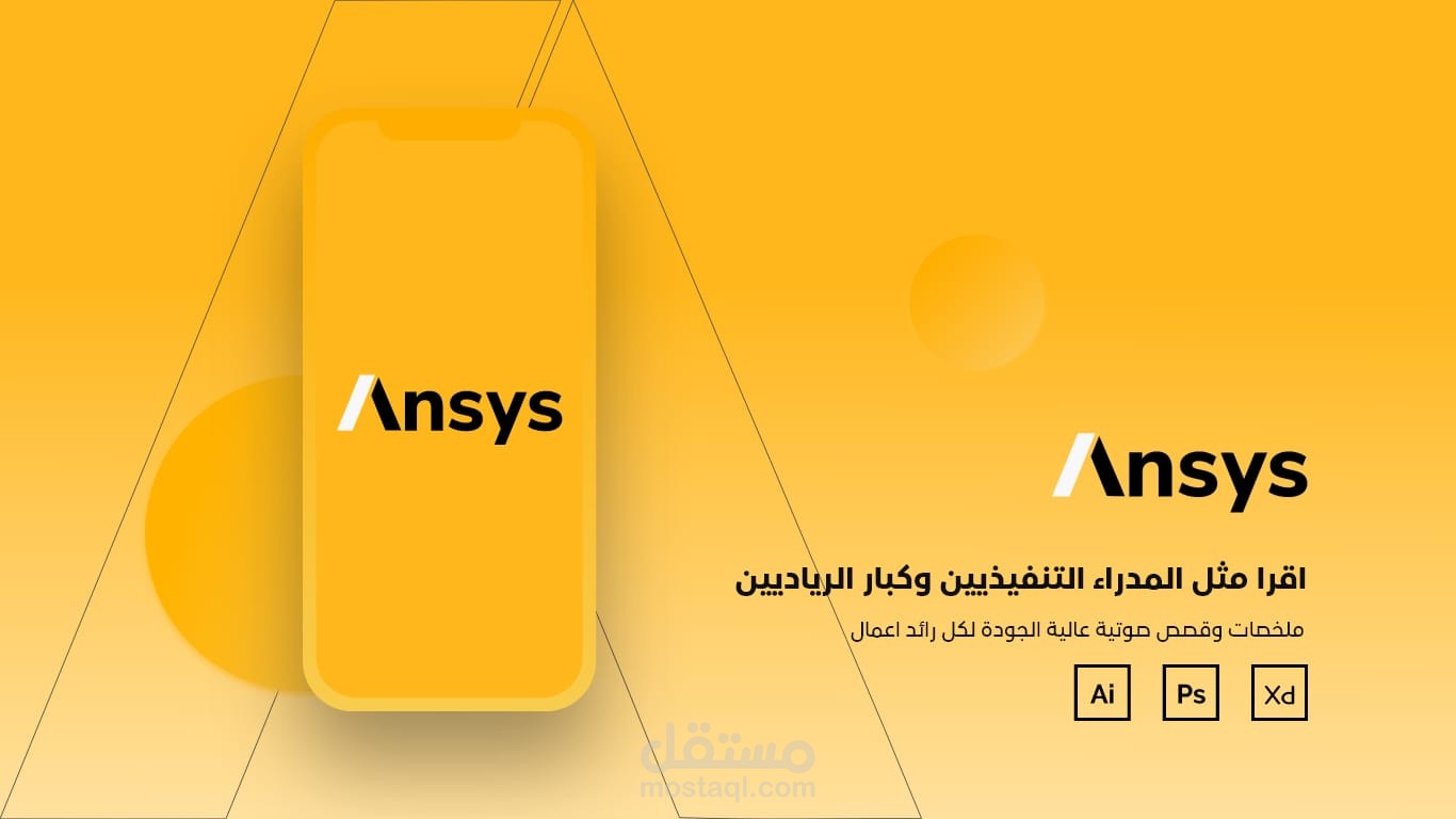 Ansys Application.