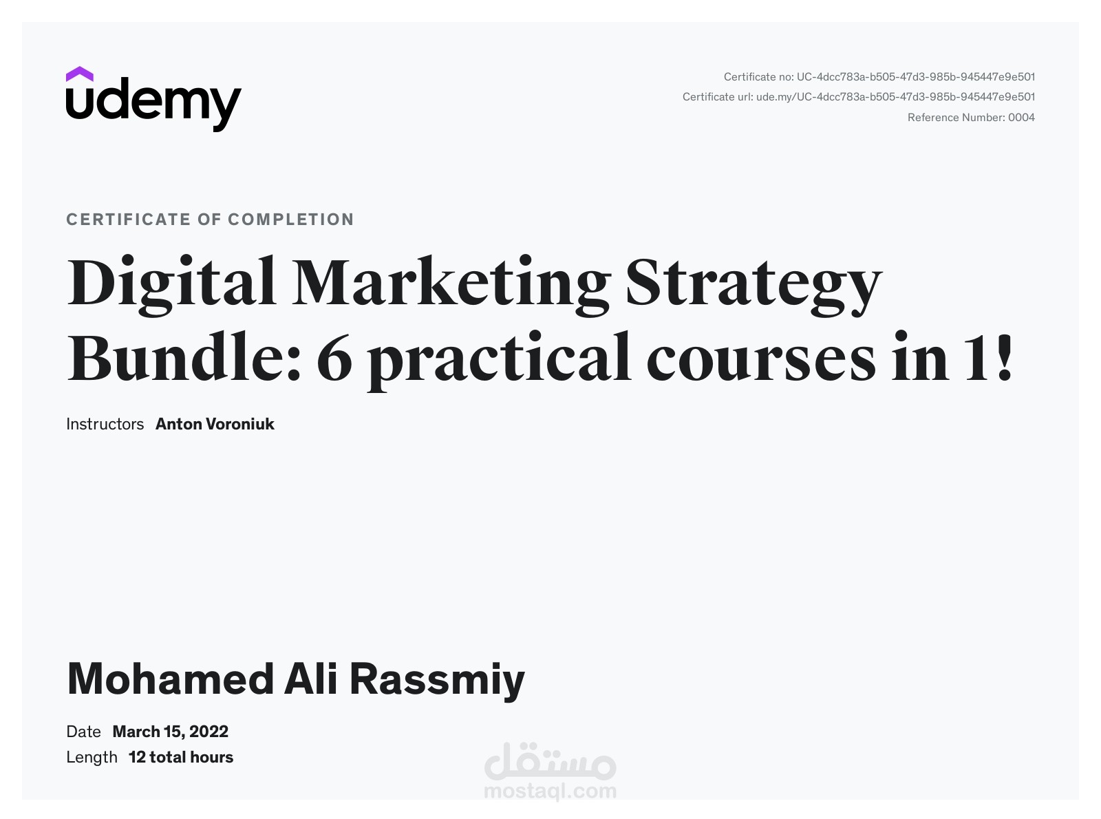 إستراتجية التسويق الرقمي