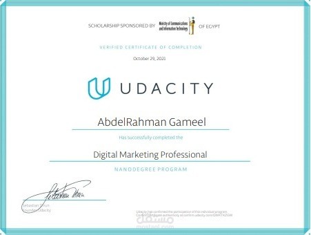 Digital Marketing Professional Track