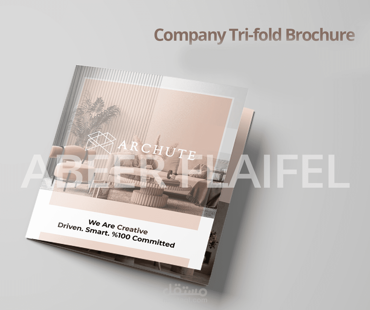 برشور شركة -Company Trifold Brochure