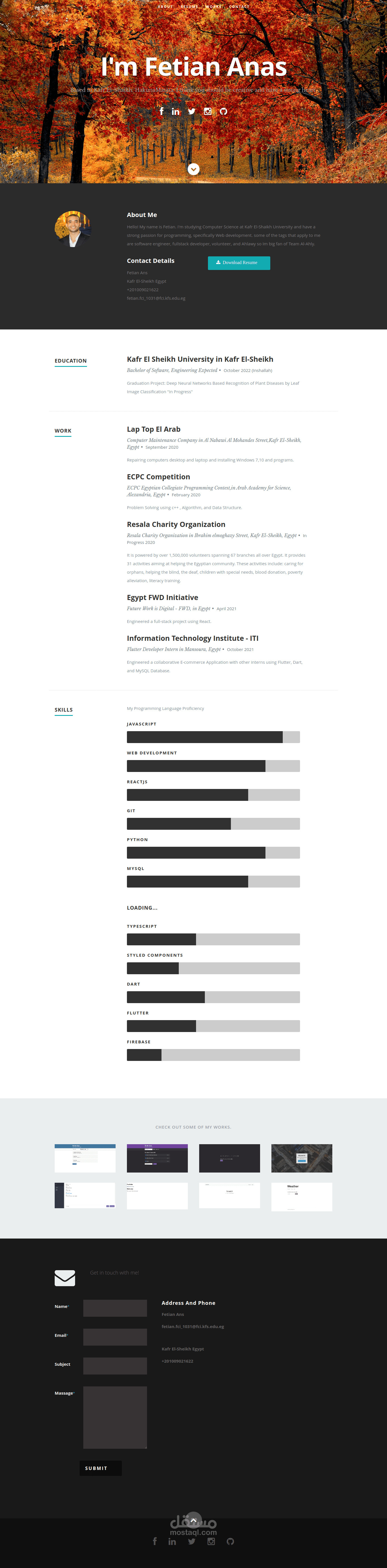 تصميم موقع شخصي