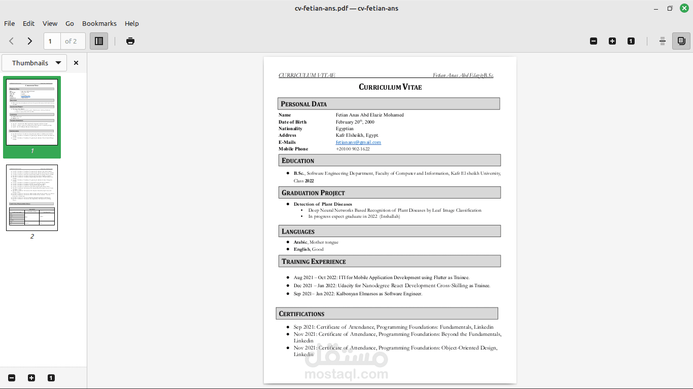 عمل سيره ذاتيه