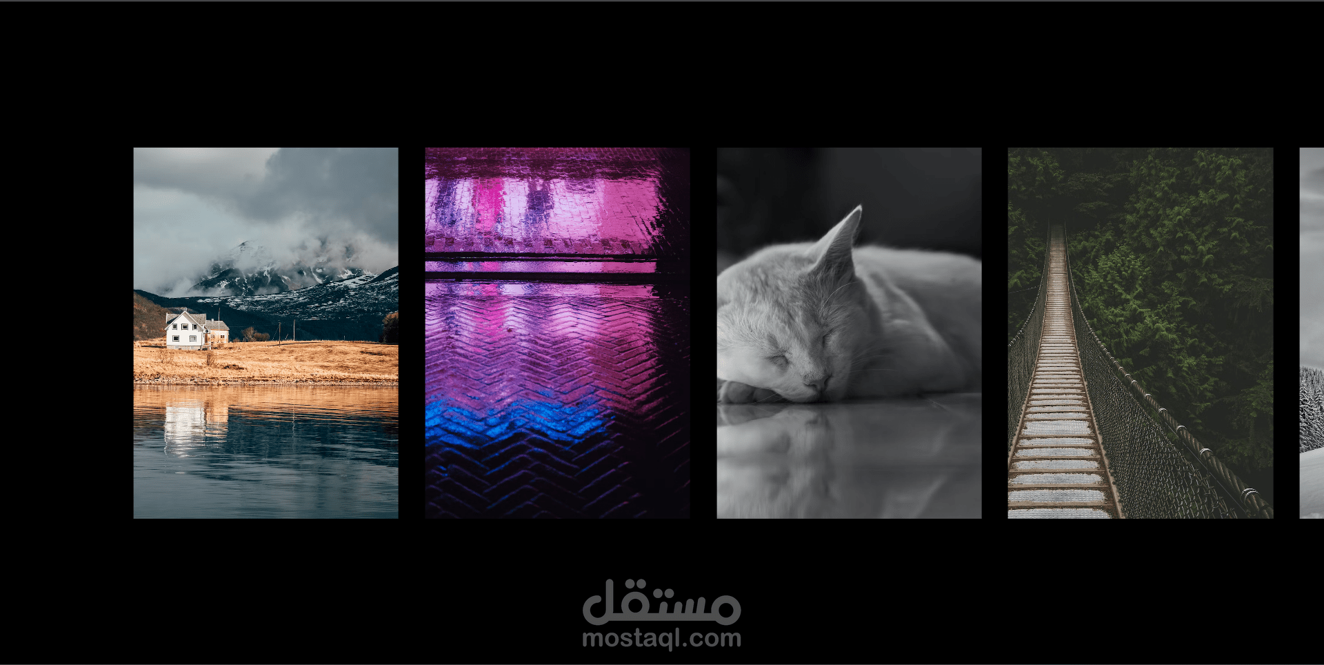 Scroll web animation عنصر قابل لإعادة الإستخدام