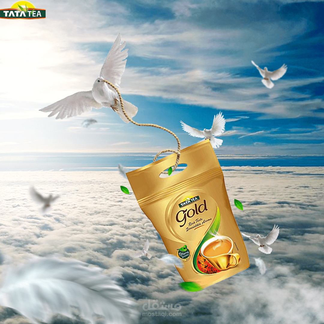 سوشيال ميديا