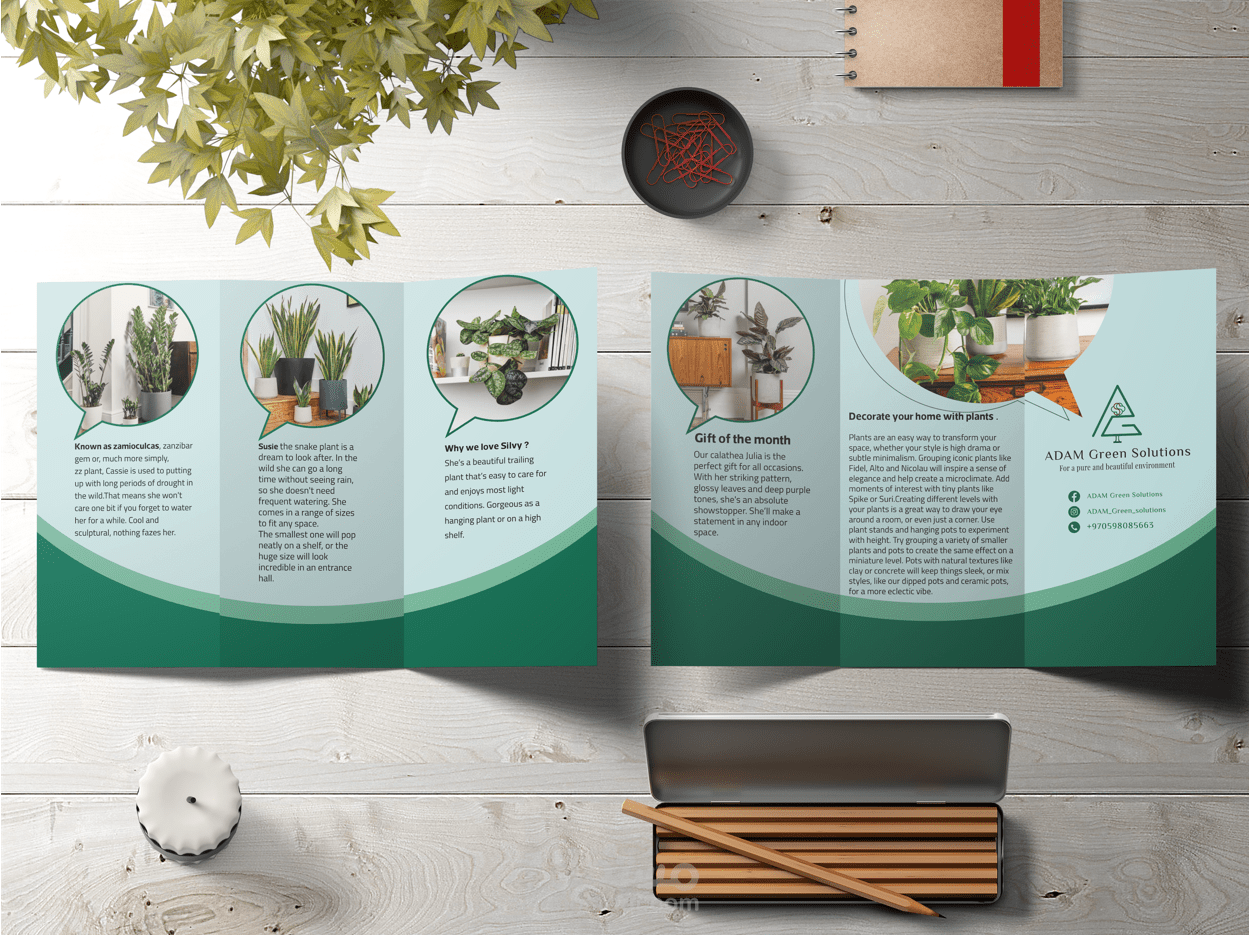 تصميم بروشورات