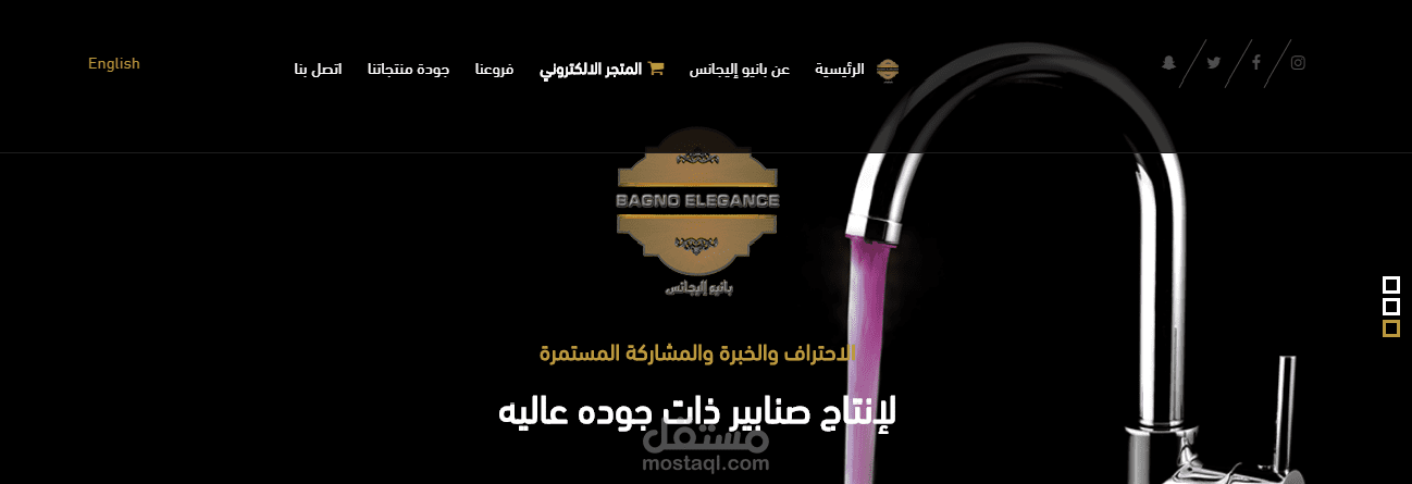 تصميم موقع شركة | تصميم موقع شركة بانيو اليجانس