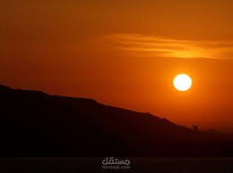 قراءة باردة