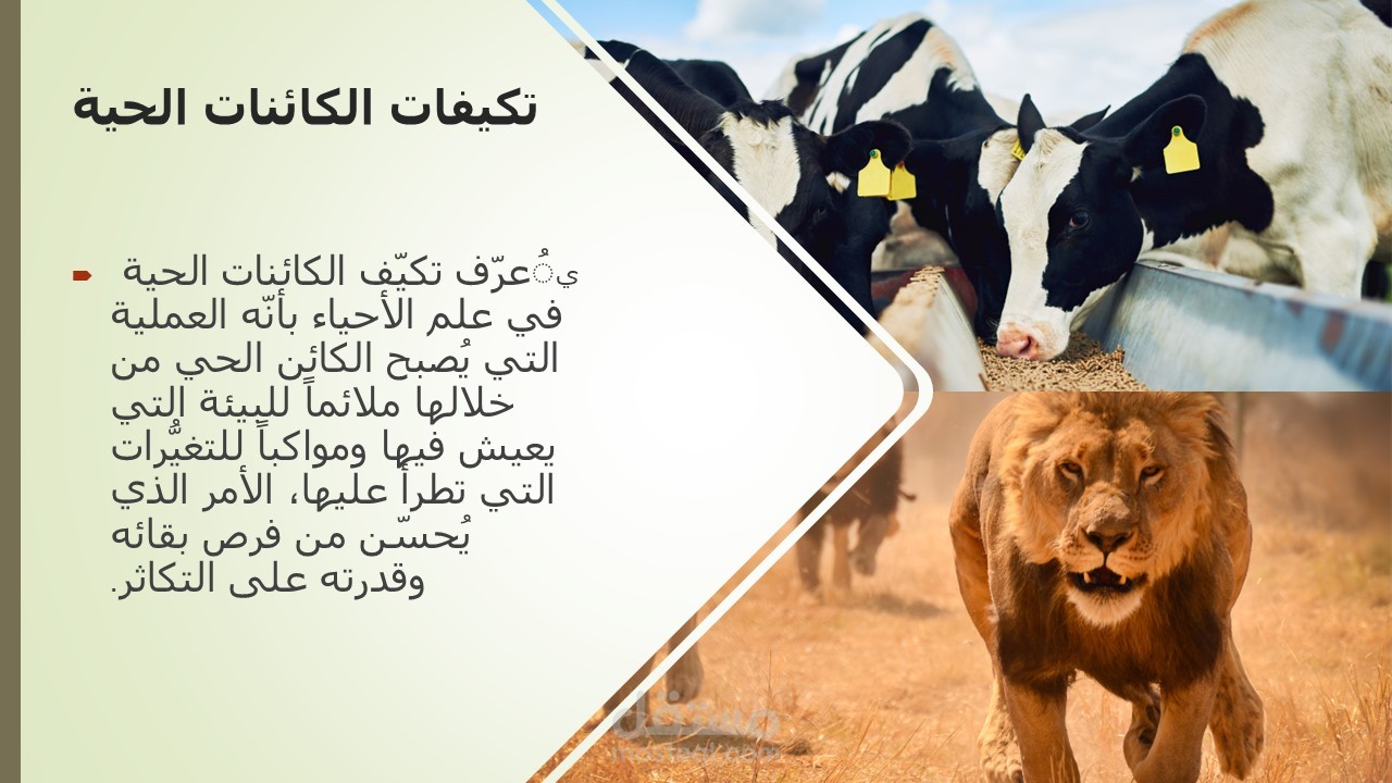 الأنظمة البيئية بوربوينت
