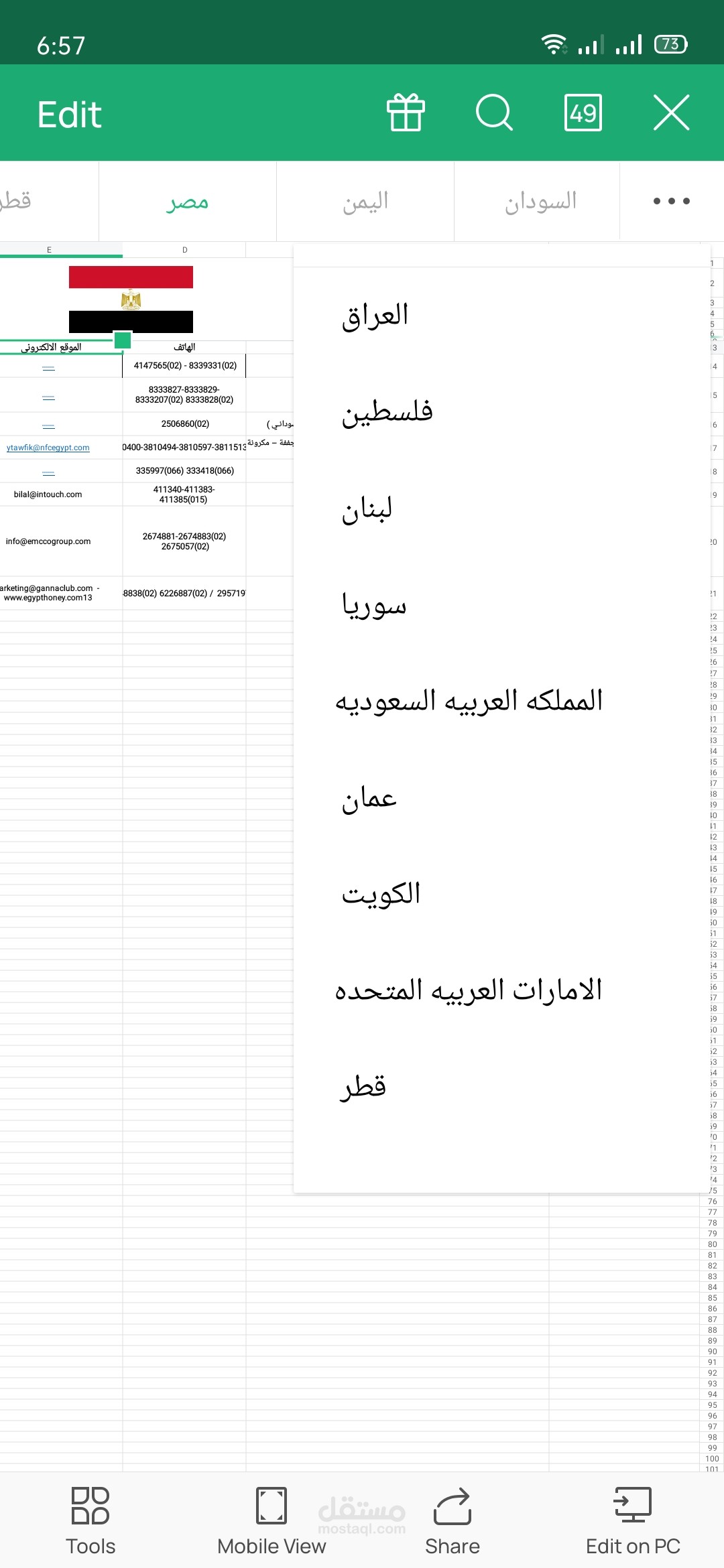 اكبر المستثمرين في التغذية بالوطن العربي
