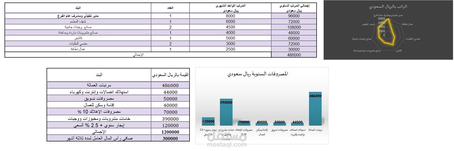 ملف إكسل كامل للدراسة المالية لأي مشروع