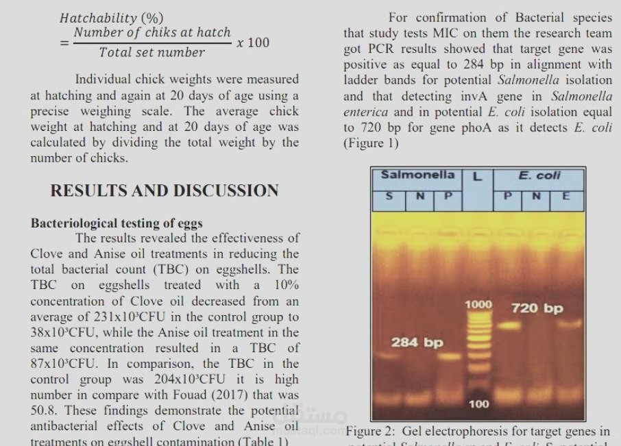 بحث علمي Research paper